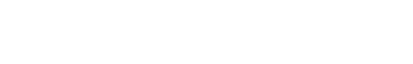 Rudy Duck, Bufflehead, Merganser  and Wood Duck Gallery